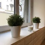 Le Strasbourgeois شقة ستراسبورغ
