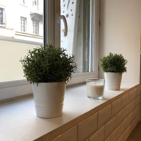 Le Strasbourgeois 公寓 斯特拉斯堡